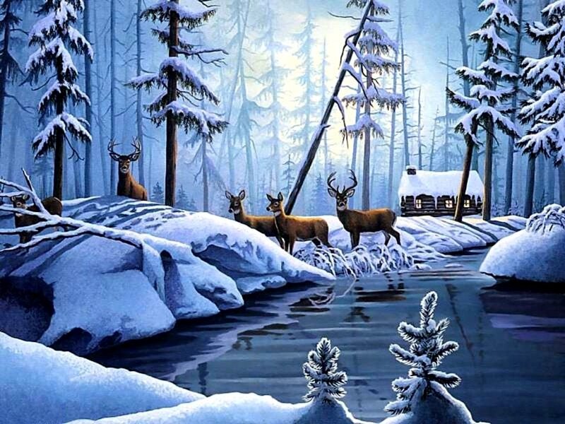 Deer in Snowy Forest — Blue