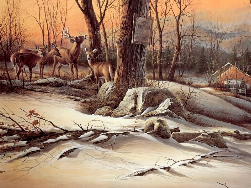 Deer in Snowy Forest — Brown, Serene