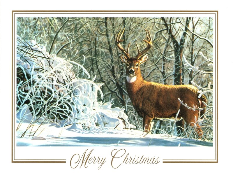 Deer in Snowy Forest — Brown, Serene, Winter, Illustration