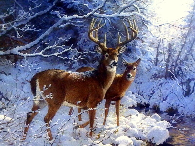 Deer in Snowy Forest — Brown, Serene, Winter, Painting, Snow, Trees, River