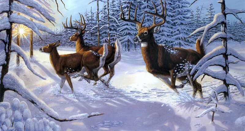 Deer in Snowy Forest — Brown, Serene, Winter, Painting, Snow, Trees, Sun