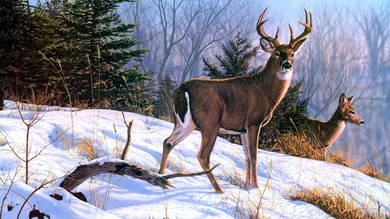 Deer in Snowy Forest — Brown, Serene, Winter, Painting, Snow, Trees