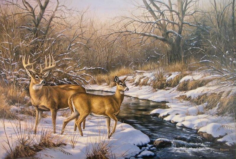 Deer in Snowy Forest — Brown, Serene, Winter, Painting, Stream