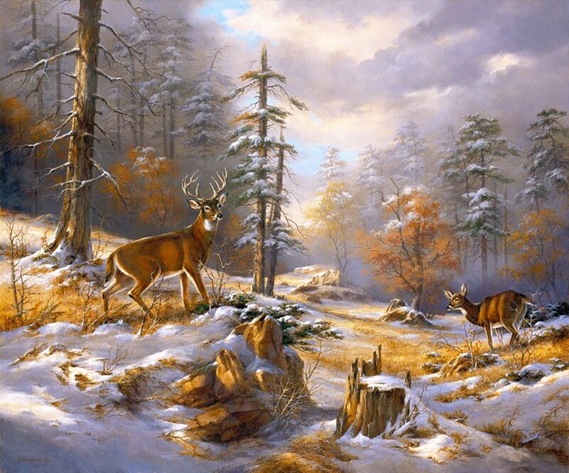 Deer in Snowy Forest — Brown, Serene, Winter, Painting, Trees, Snow, Rocks