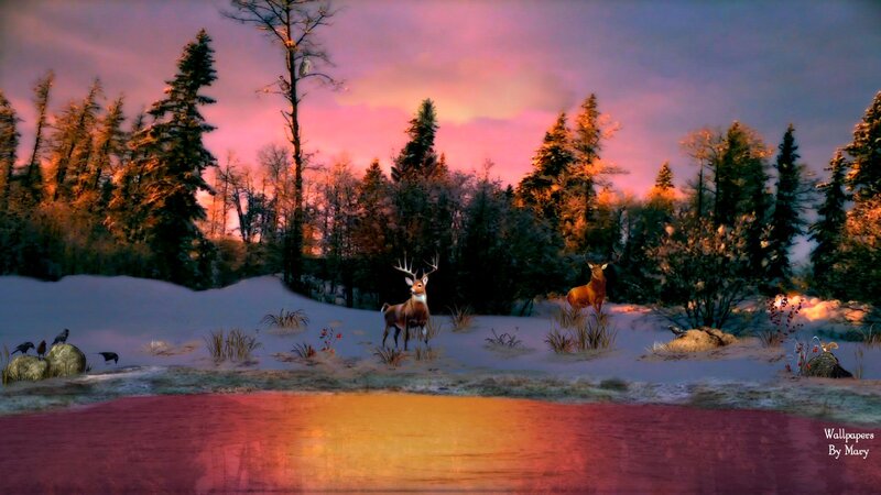 Deer in Snowy Forest — Pink
