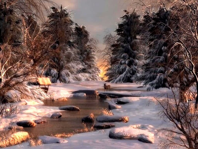 Deer in Snowy Forest — White, Serene