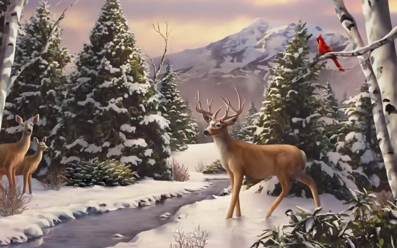 Deer in Snowy Forest — White, Serene, Winter, Digital Art, Cardinal