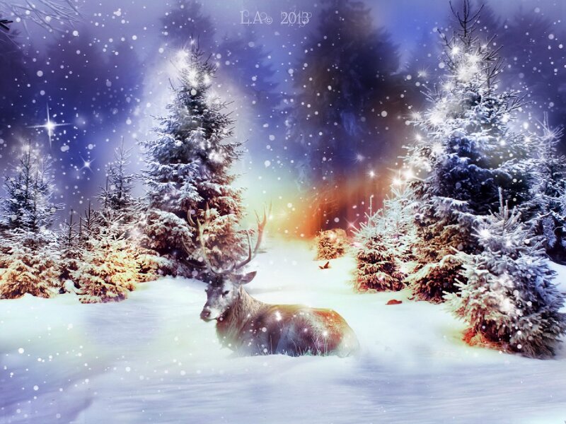 Deer in Snowy Forest — White, Serene, Winter, Digital Art, Snow, Trees, Stars