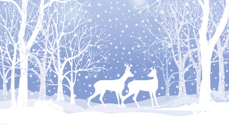 Deer in Snowy Forest — White, Serene, Winter, Illustration