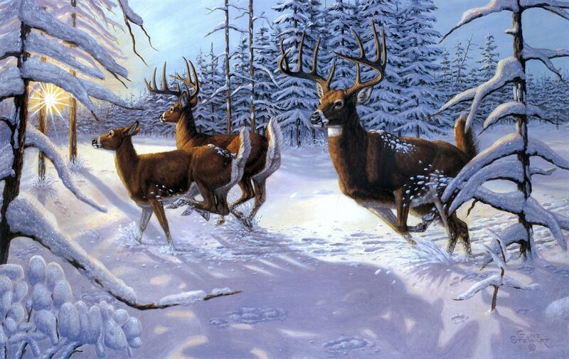 Deer in Snowy Forest — White, Serene, Winter, Painting, Snow, Trees, Sunlight