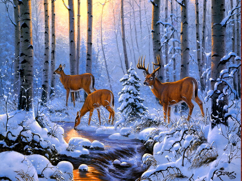 Deer in Snowy Forest — White, Serene, Winter, Painting, Stream