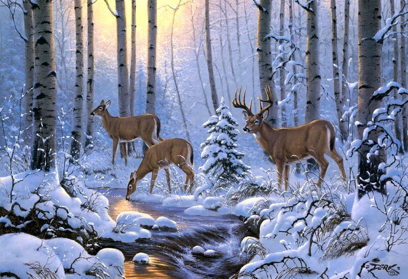 Deer in Snowy Forest — White, Serene, Winter, Painting, Stream, Trees