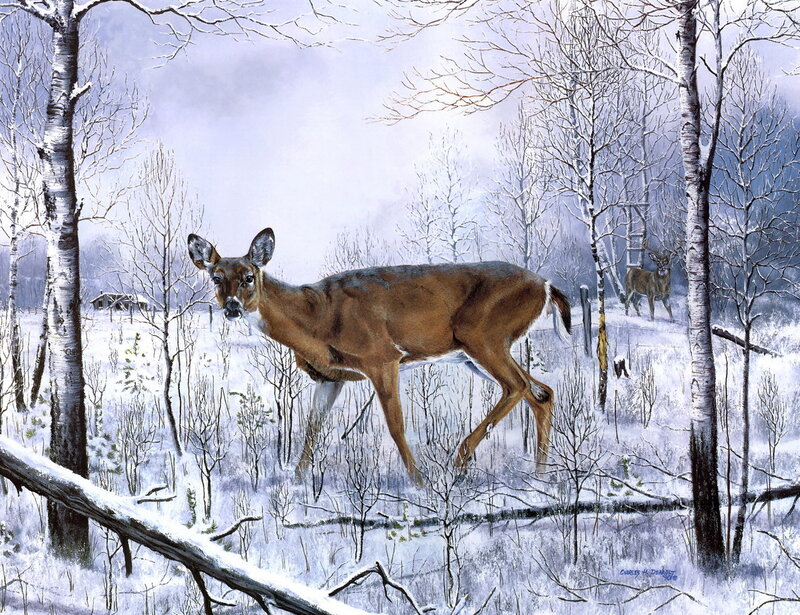Deer in Snowy Forest — White, Serene, Winter, Painting, Trees, Snow, Barn