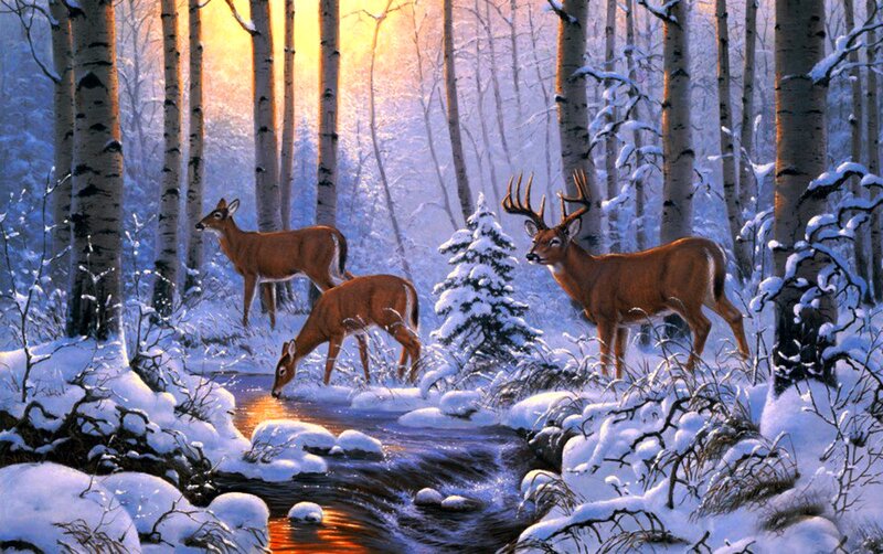 Deer in Snowy Forest — White, Serene, Winter, Painting, Trees, Stream