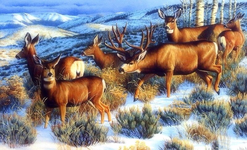 Deer in Snowy Landscape — Brown, Serene