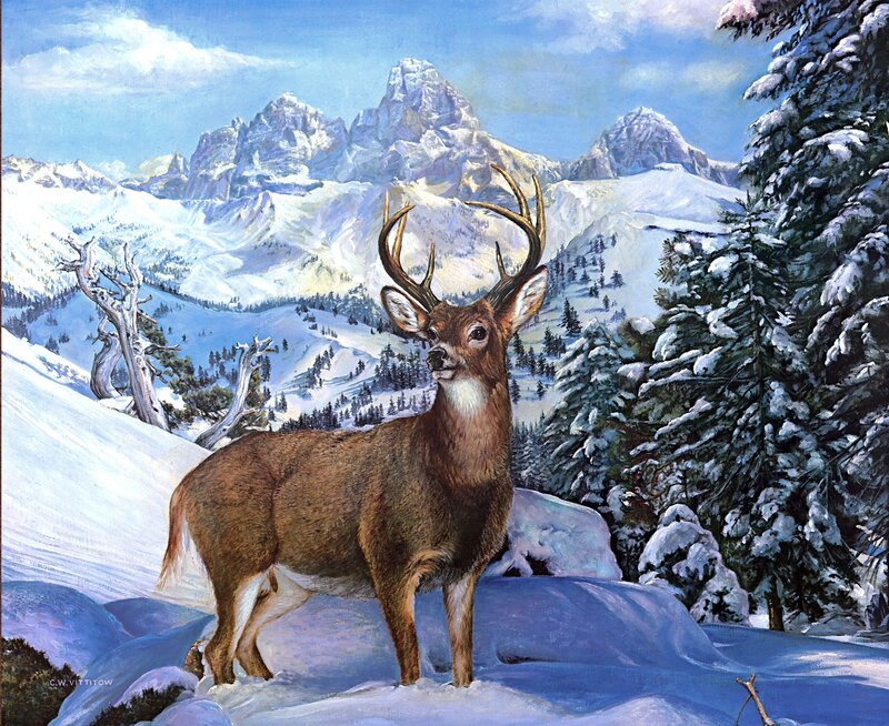 Deer in Snowy Landscape — Brown