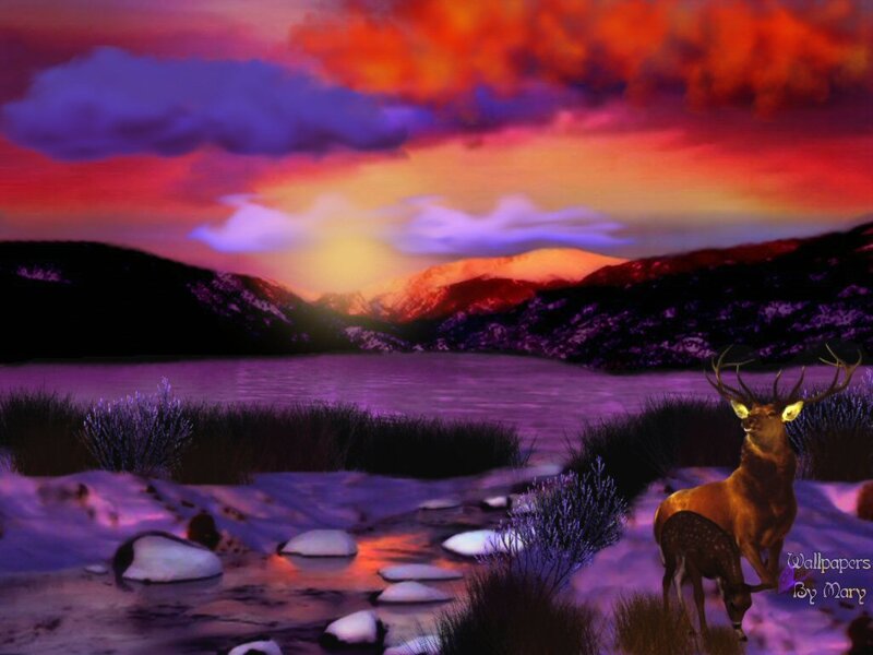 Deer in Snowy Landscape — Purple, Dramatic