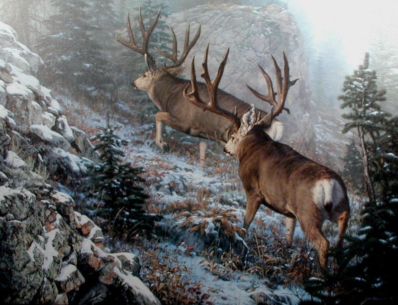 Deer in snowy mountains