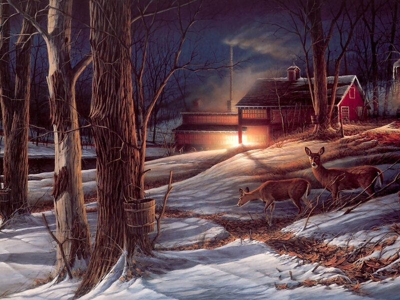 Deer in Snowy Woods — Brown, Serene