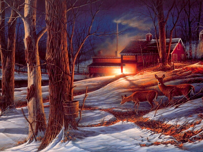 Deer in Snowy Woods — Red