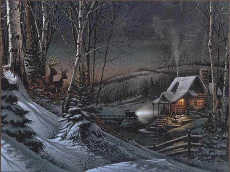 Deer in Snowy Woods — White