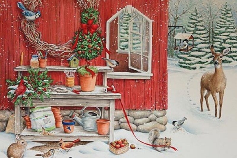 Deer in Snowy Yard