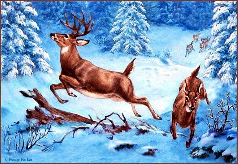 Deer in Winter Forest — Blue, Dynamic