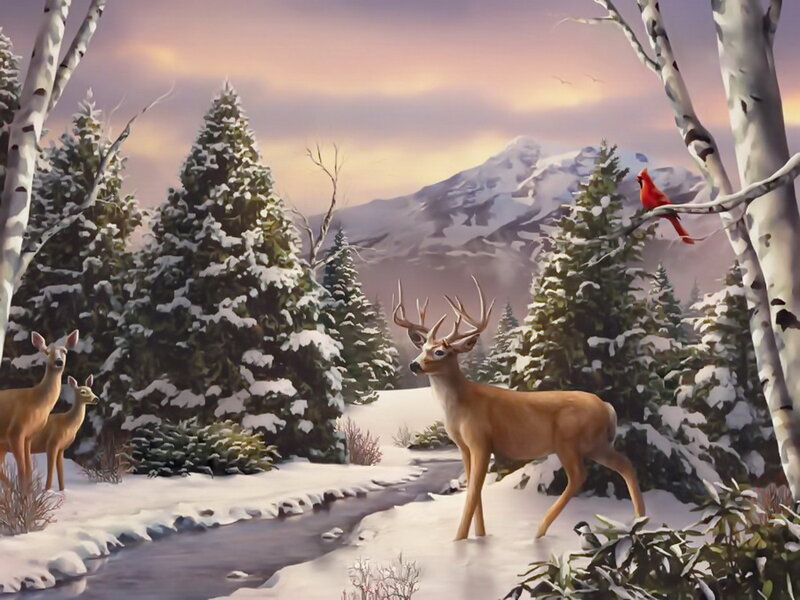 Deer in Winter Forest — White