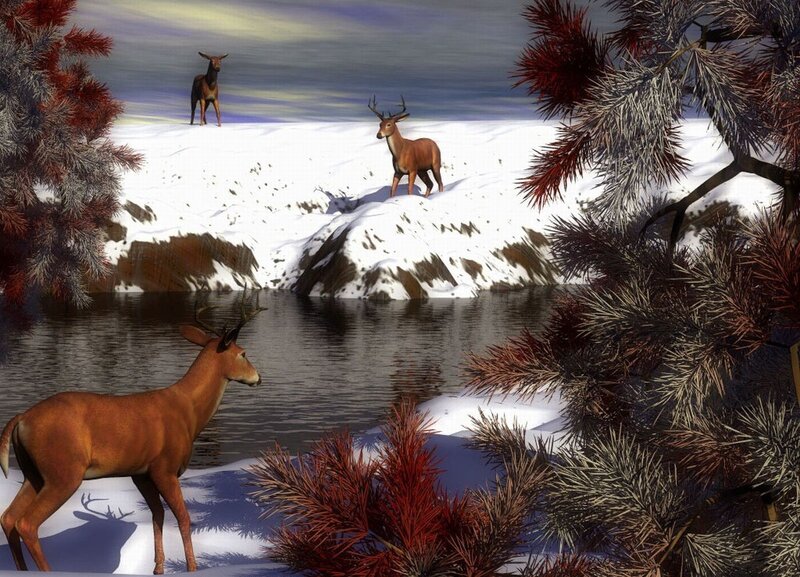 Deer in Winter Landscape — Brown
