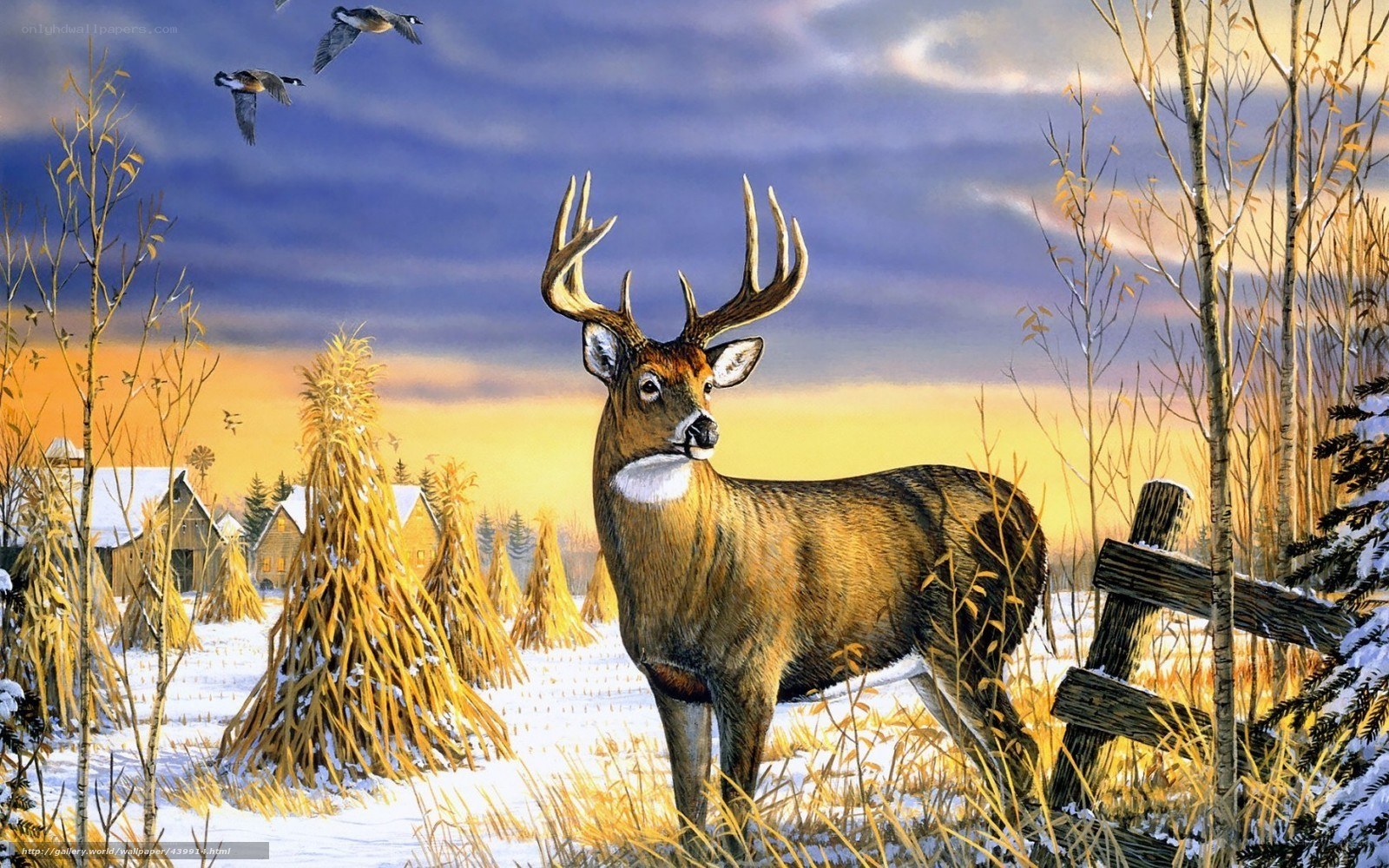 Deer in winter landscape