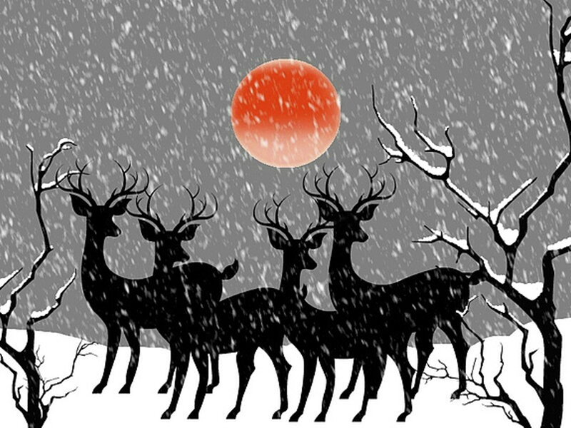 Deer in Winter Scene