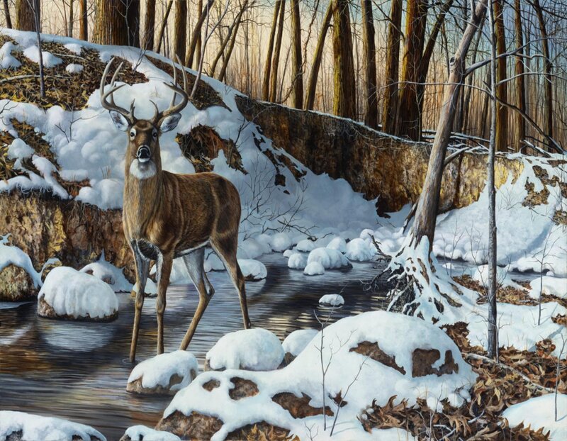 Deer in Winter Stream