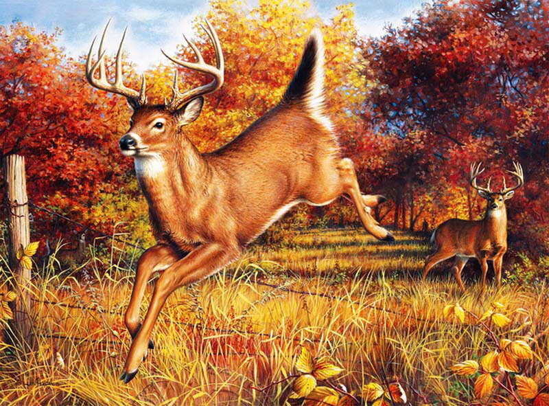 Deer Jumping in Field