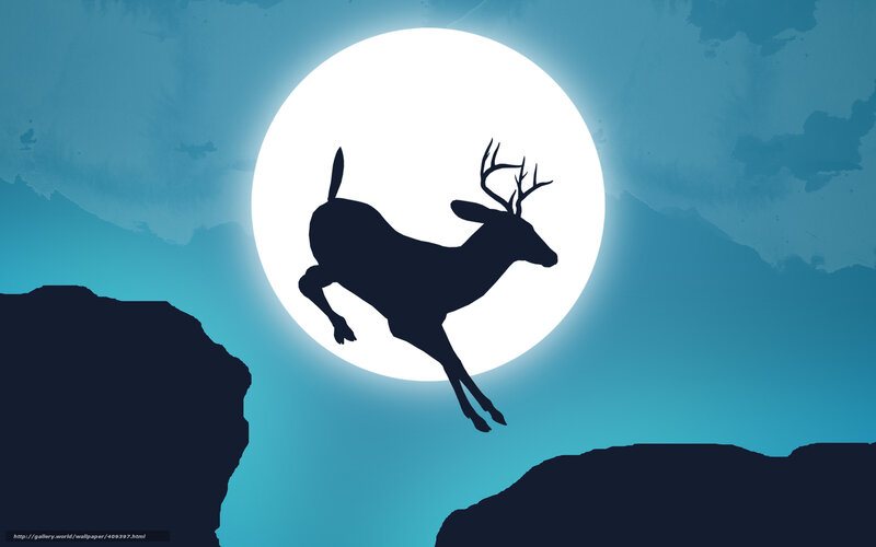Deer leaping at night