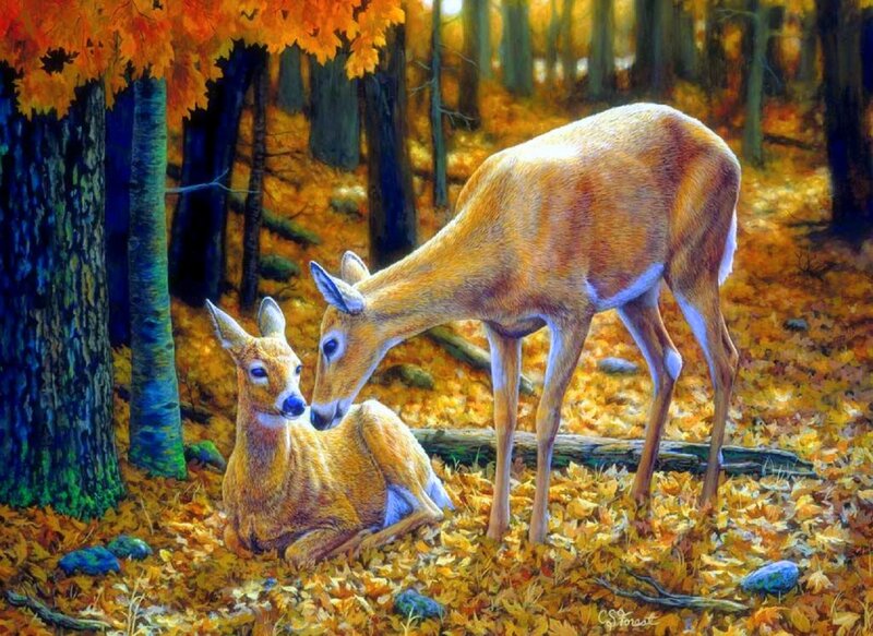 Deer Mother and Fawn — Orange, Serene