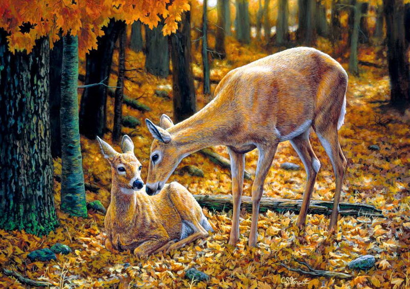 Deer Mother and Fawn — Orange