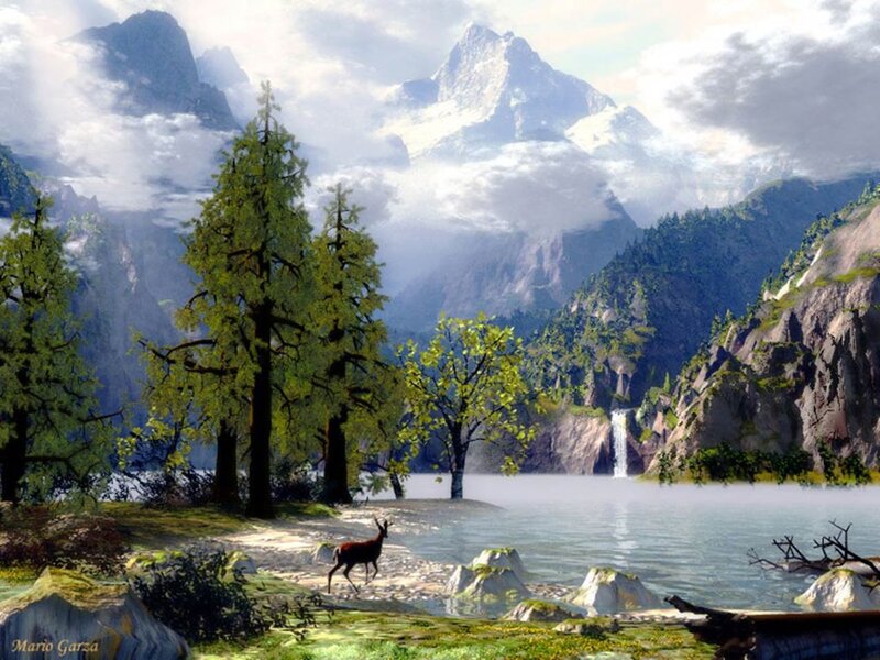 Deer Near Lake — Green
