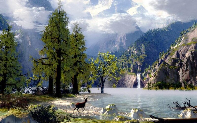 Deer Near Lake