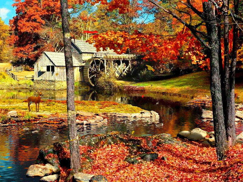 Deer Near Mill — Red