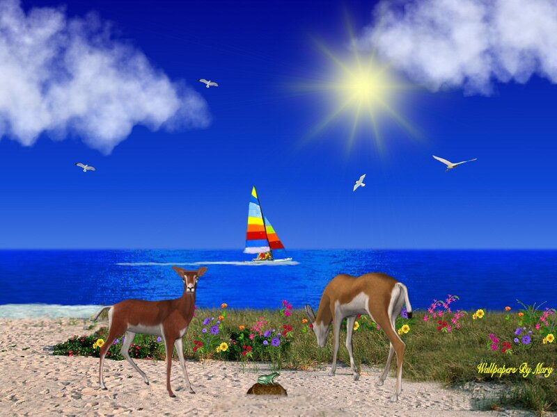 Deer on a Beach