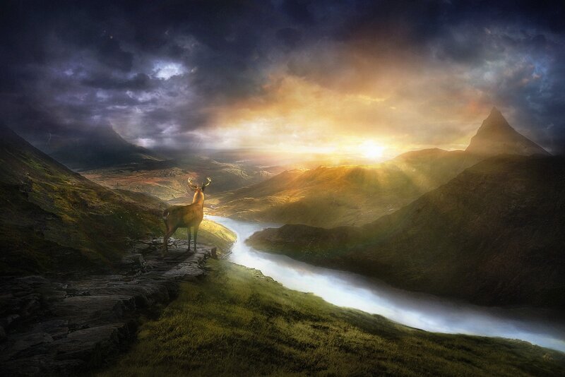 Deer on a Cliff — Green