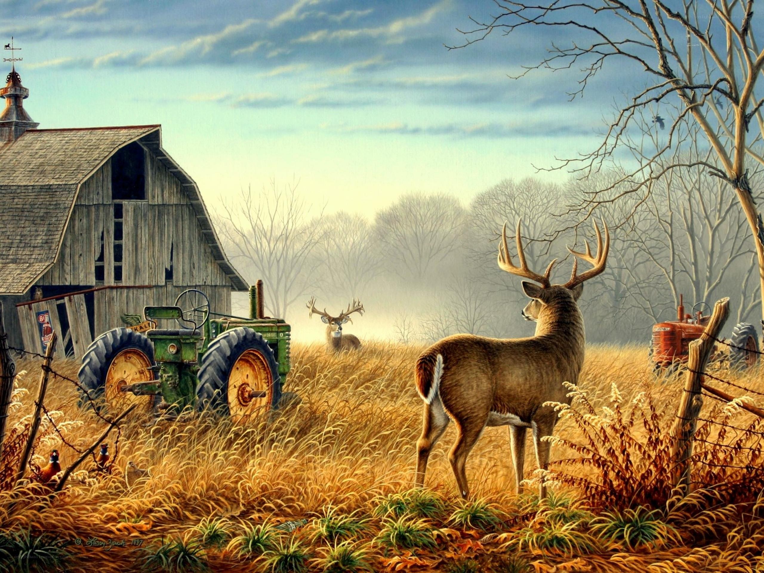 Deer on a Farm at Dawn