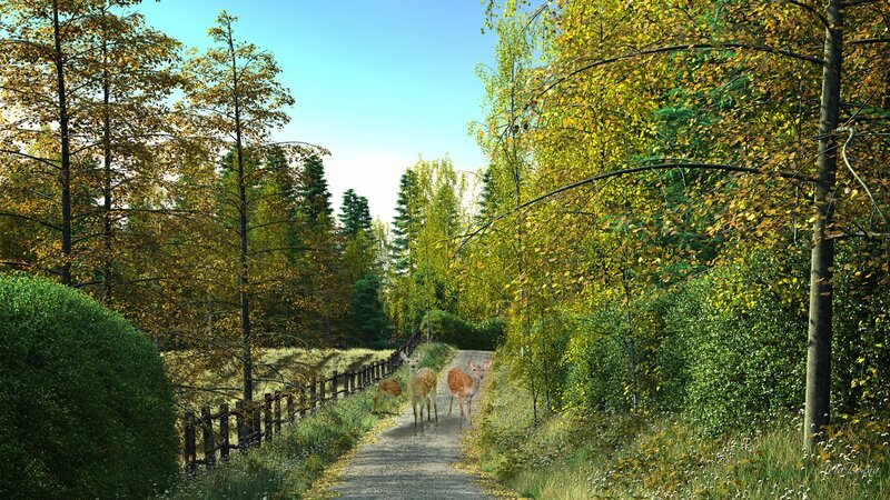 Deer on a Forest Path — Green