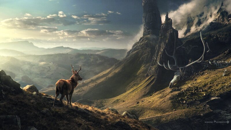 Deer on a Hillside — Brown, Dramatic
