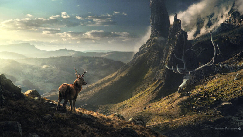 Deer on a Hillside — Brown