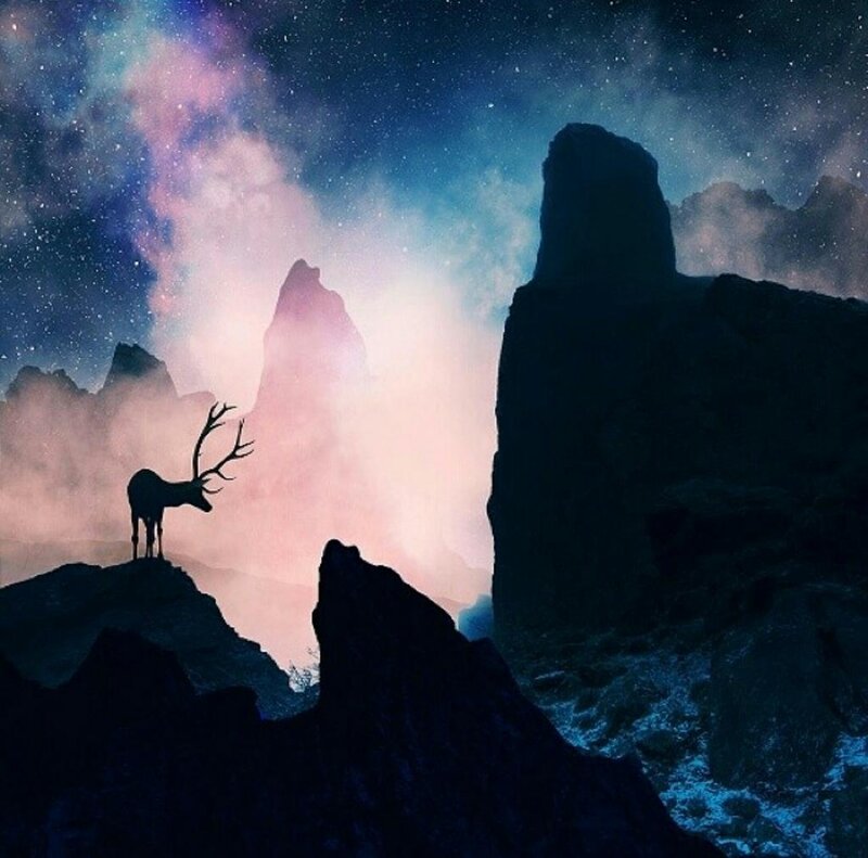 Deer on a Mountain