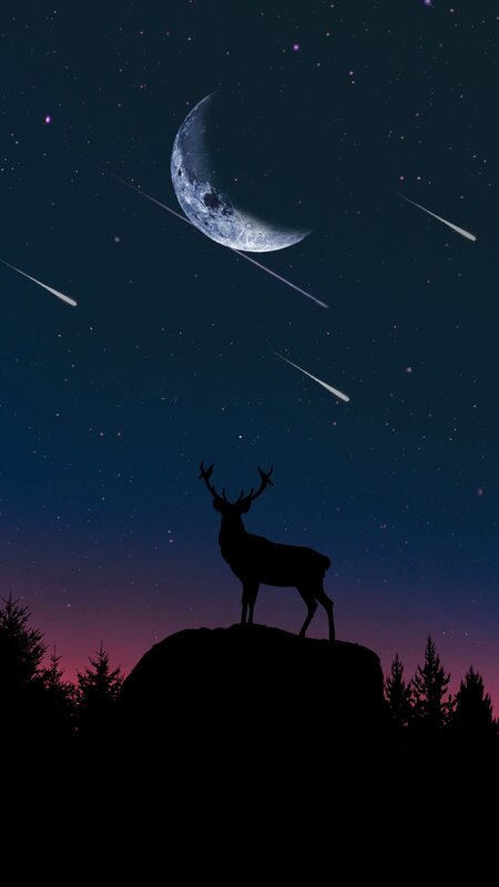 Deer on a Rock — Black