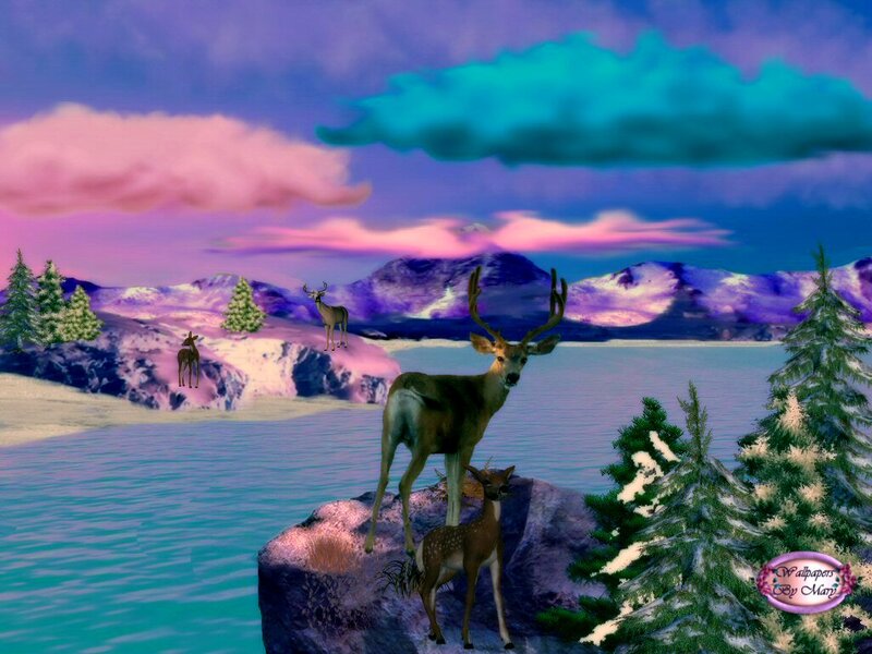 Deer on a Rock