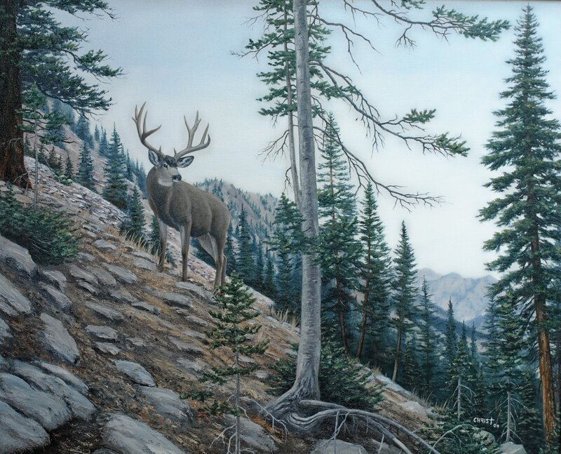 Deer on a Rocky Hillside