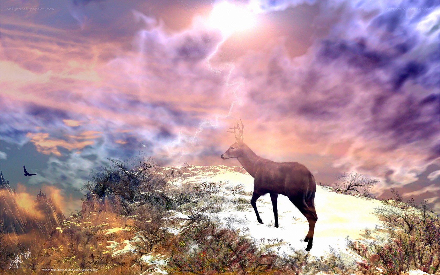 Deer on a snowy hill